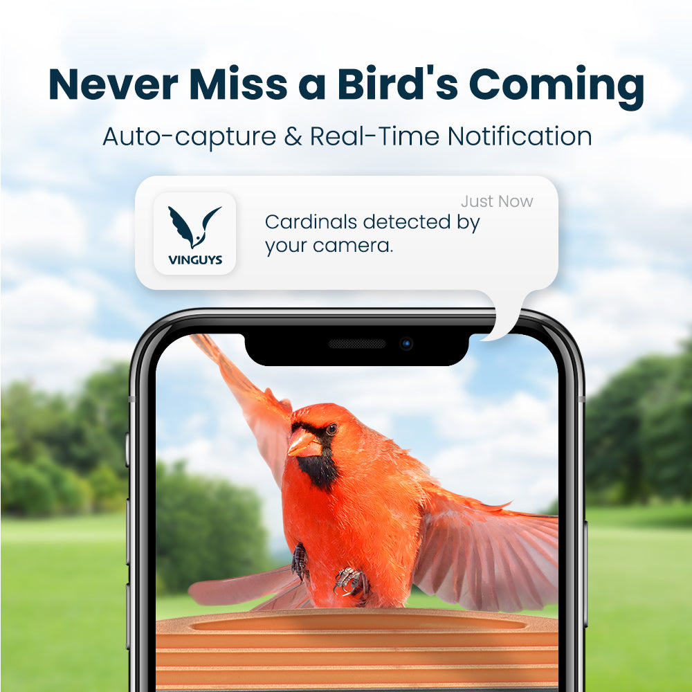 VINGUYS Smart Bird Feeder V-Feeder