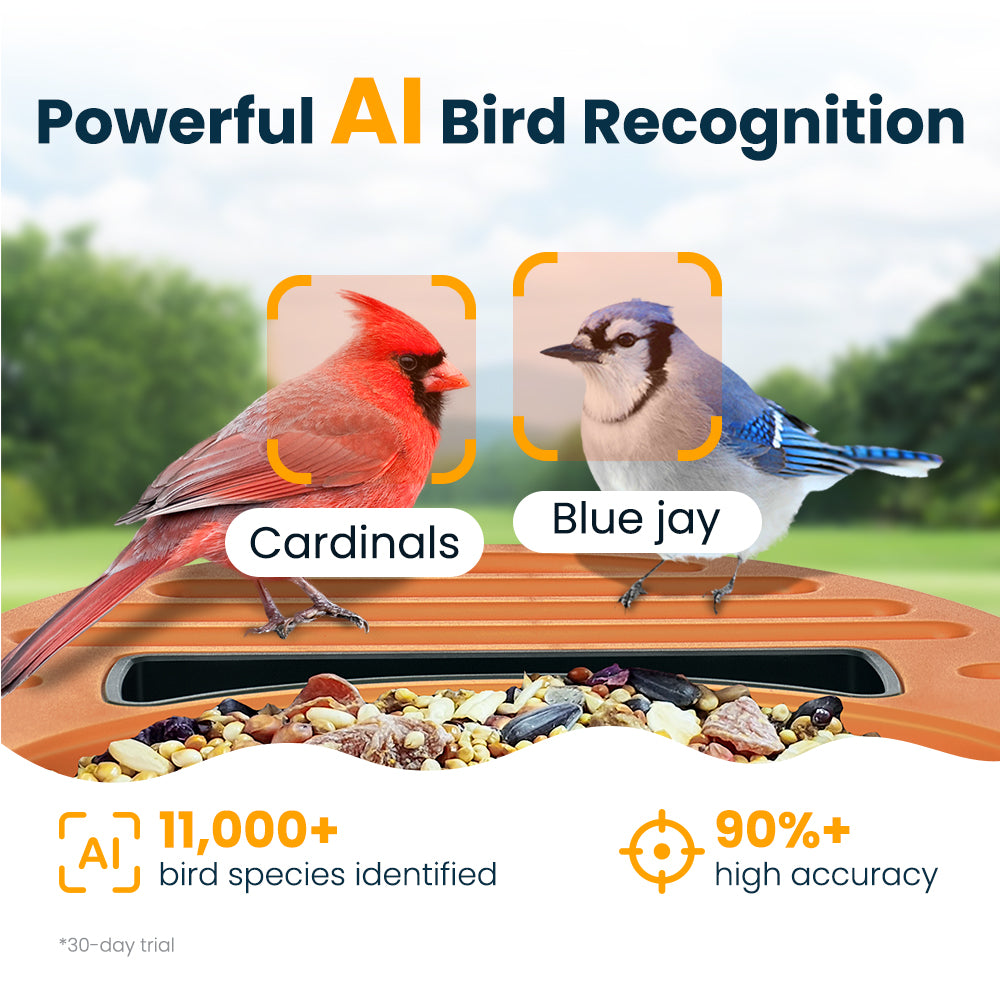 VINGUYS Smart Bird Feeder V-Feeder