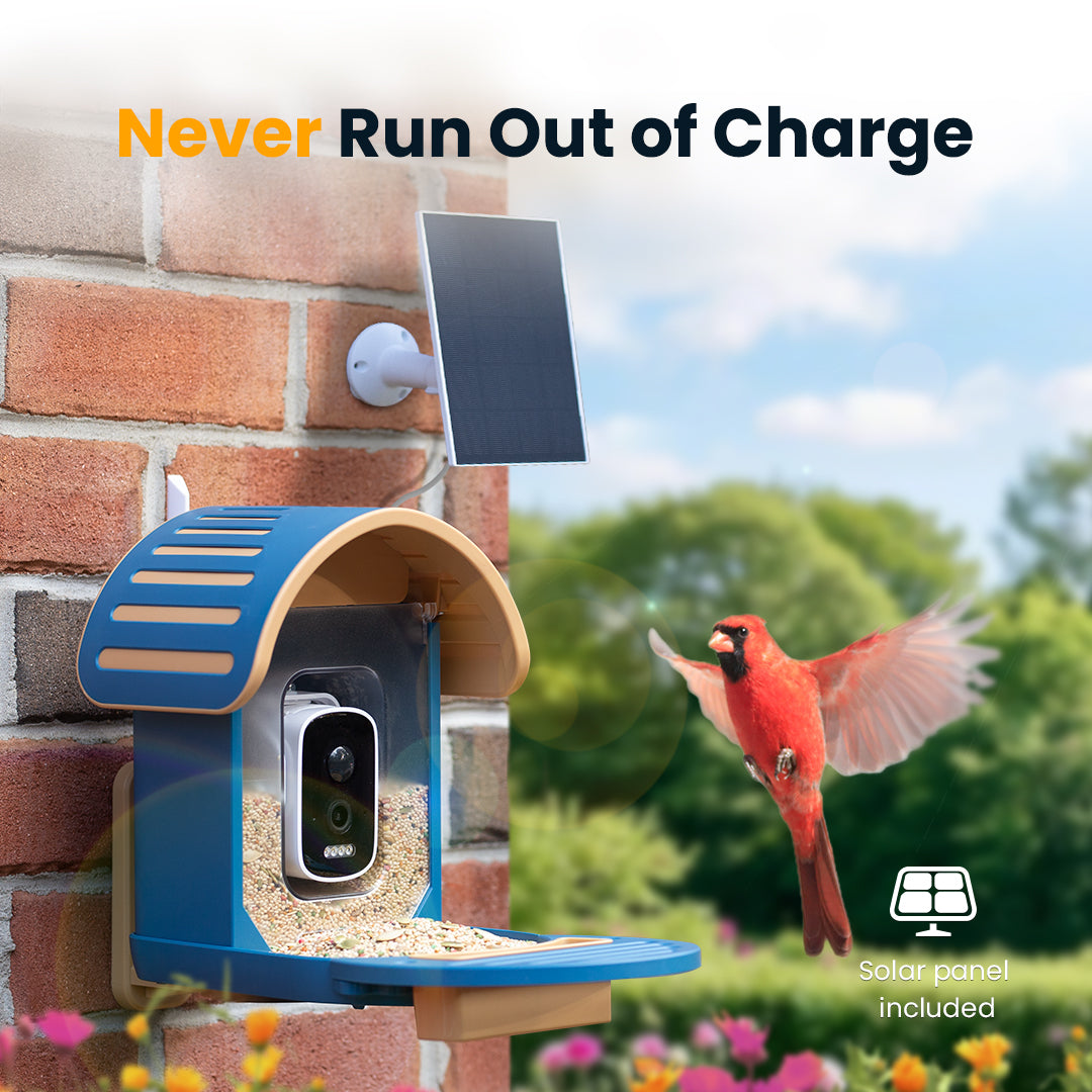 VINGUYS Smart Bird Feeder V-Feeder