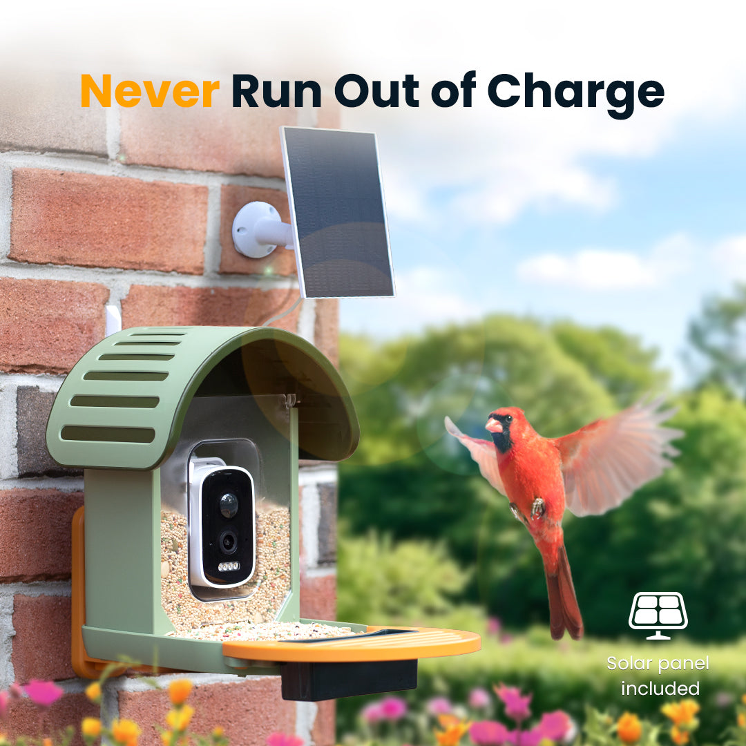 VINGUYS Smart Bird Feeder V-Feeder