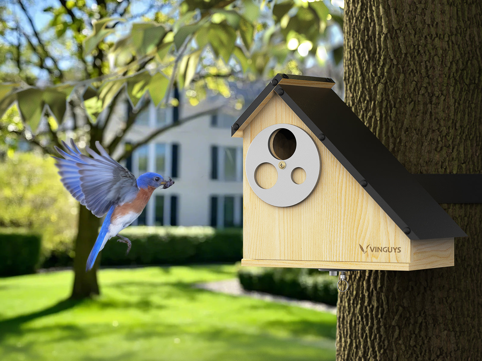 How to Attract Birds to a Birdhouse