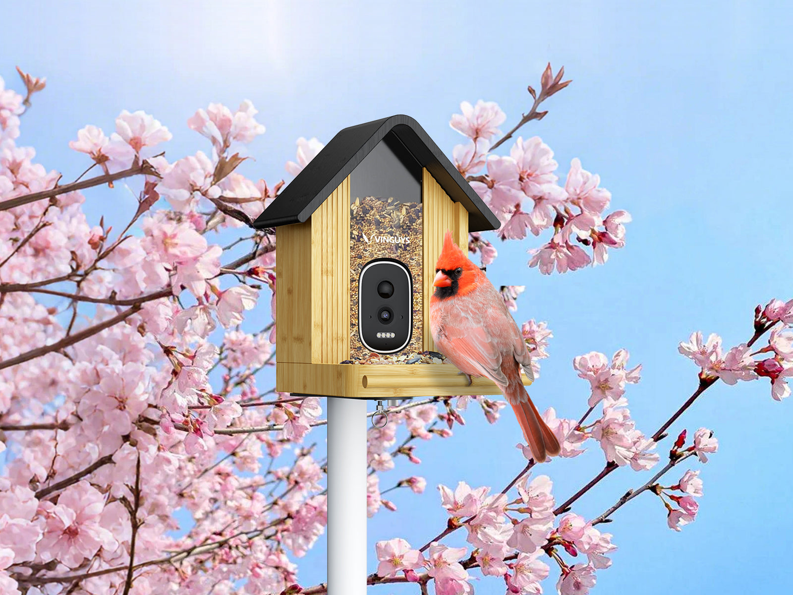 Bringing Nature Closer: The Charm of a Bamboo Bird Feeder