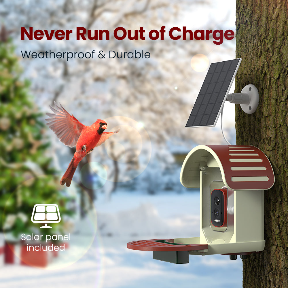 VINGUYS Smart Bird Feeder V-Feeder Special Edition