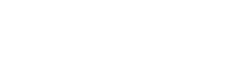 Vinguys